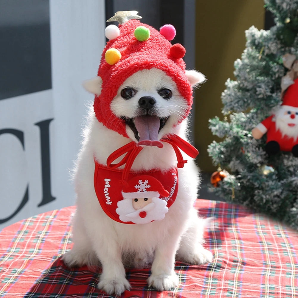 Dog hat and bandana