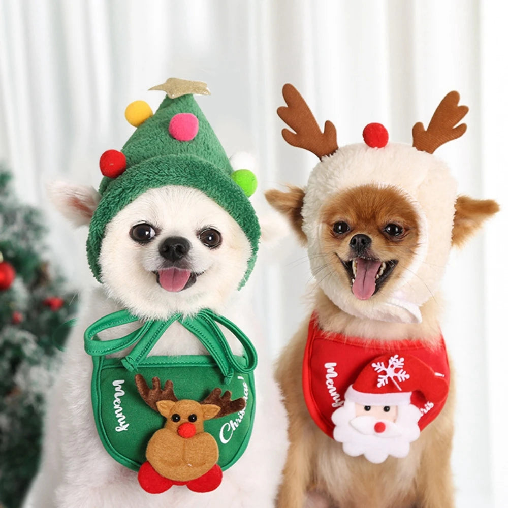 Dog hat and bandana