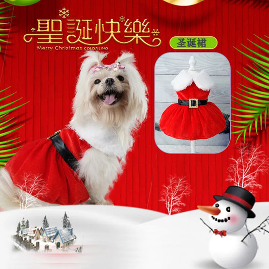 Christmas dress for dog