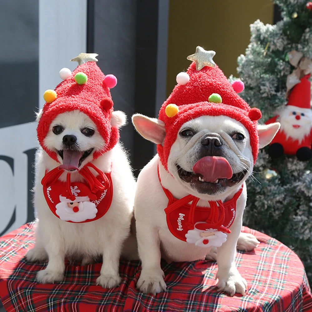 Dog hat and bandana